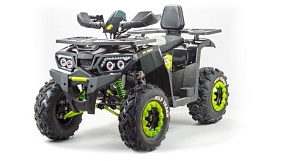 Квадроцикл Motoland ATV200 WILD TRACK LUX